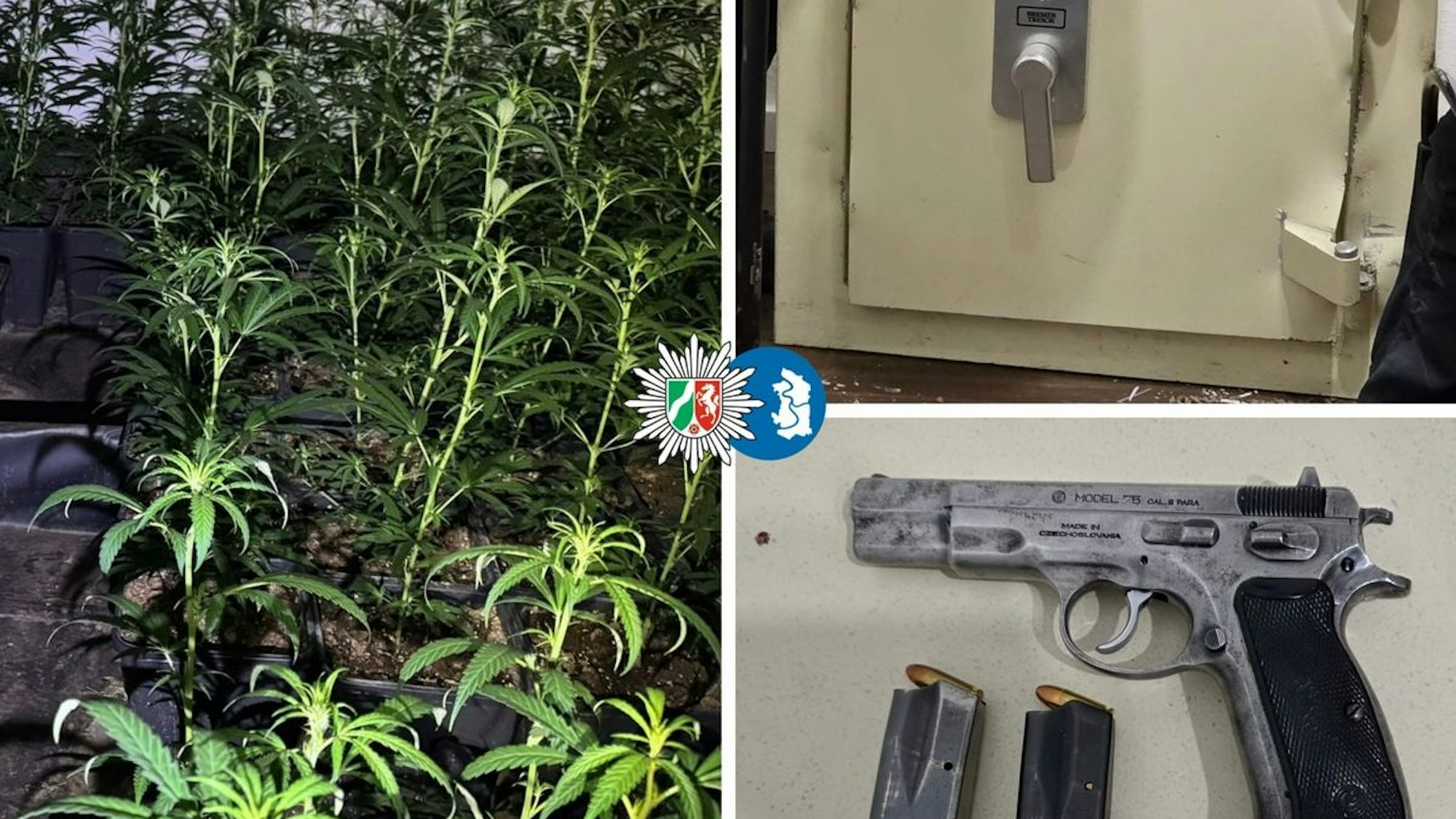 Eine Collage der bei der Razzia sichergestellten Gegenstände.