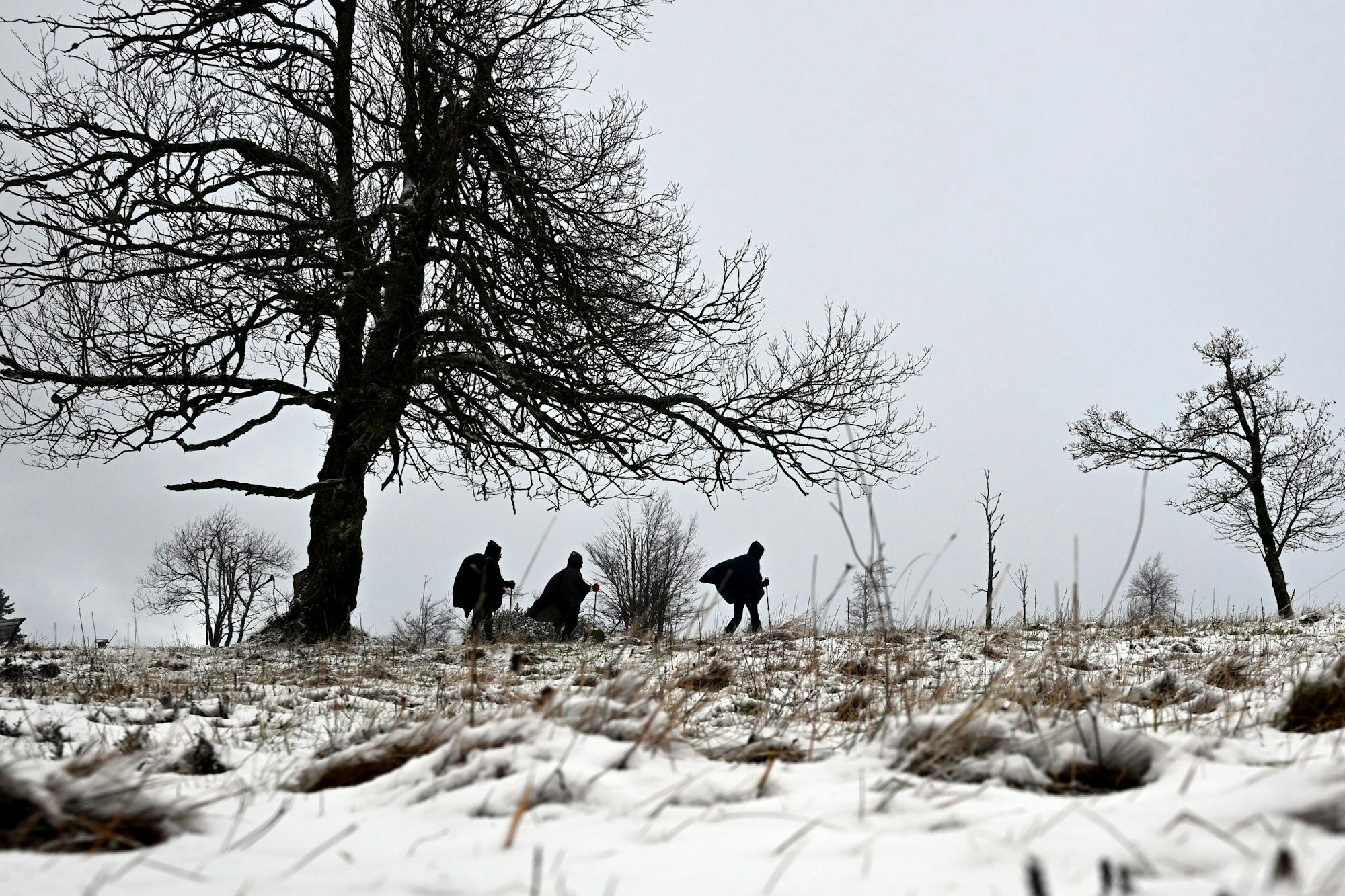 Auf dem Kahlen Asten liegt der erste Schnee des Jahres.