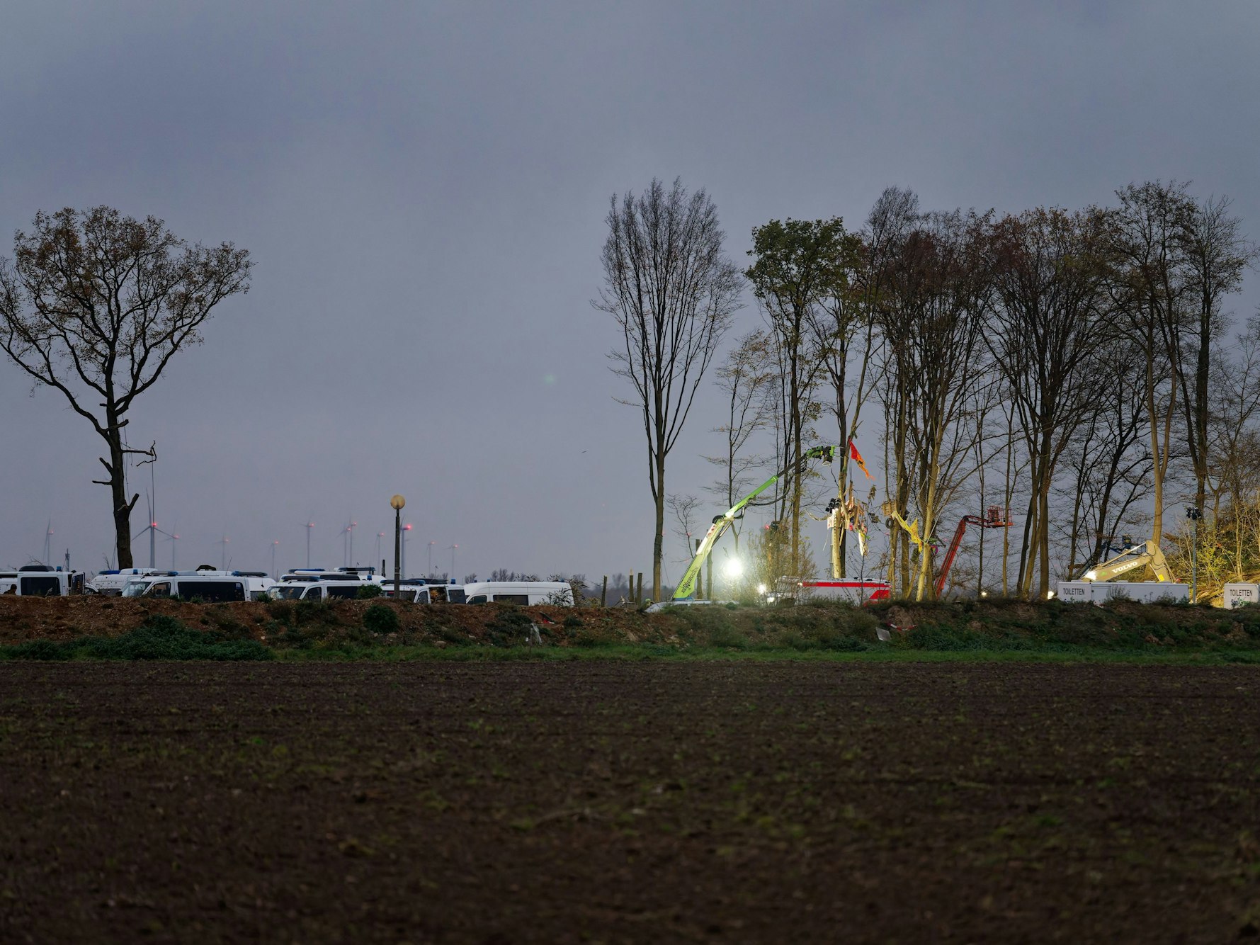 Das Bild zeigt das Sündenwäldchen, in dem die letzten Bäume gefällt werden.