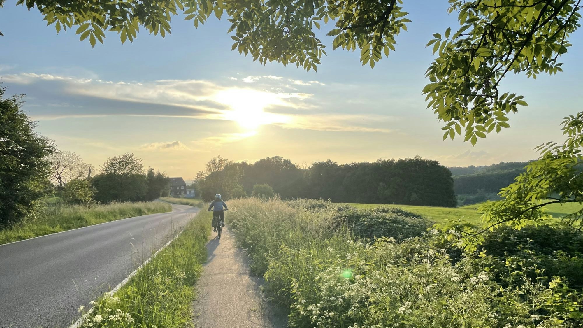 Eine Radlerin fährt durch die Nachmittagssonne von Herkenrath in Richtung Sand.