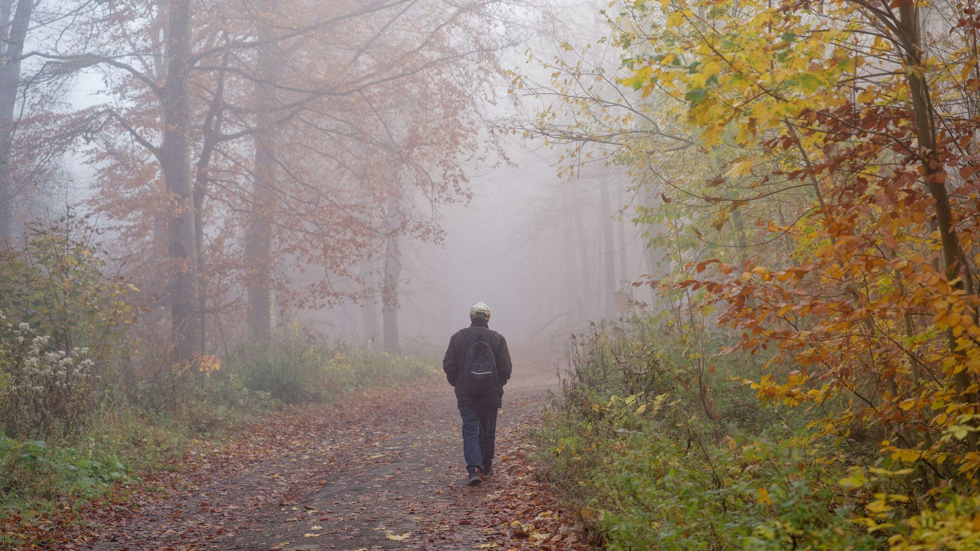 Ein Mann geht allein im Nebel über einen Waldweg.