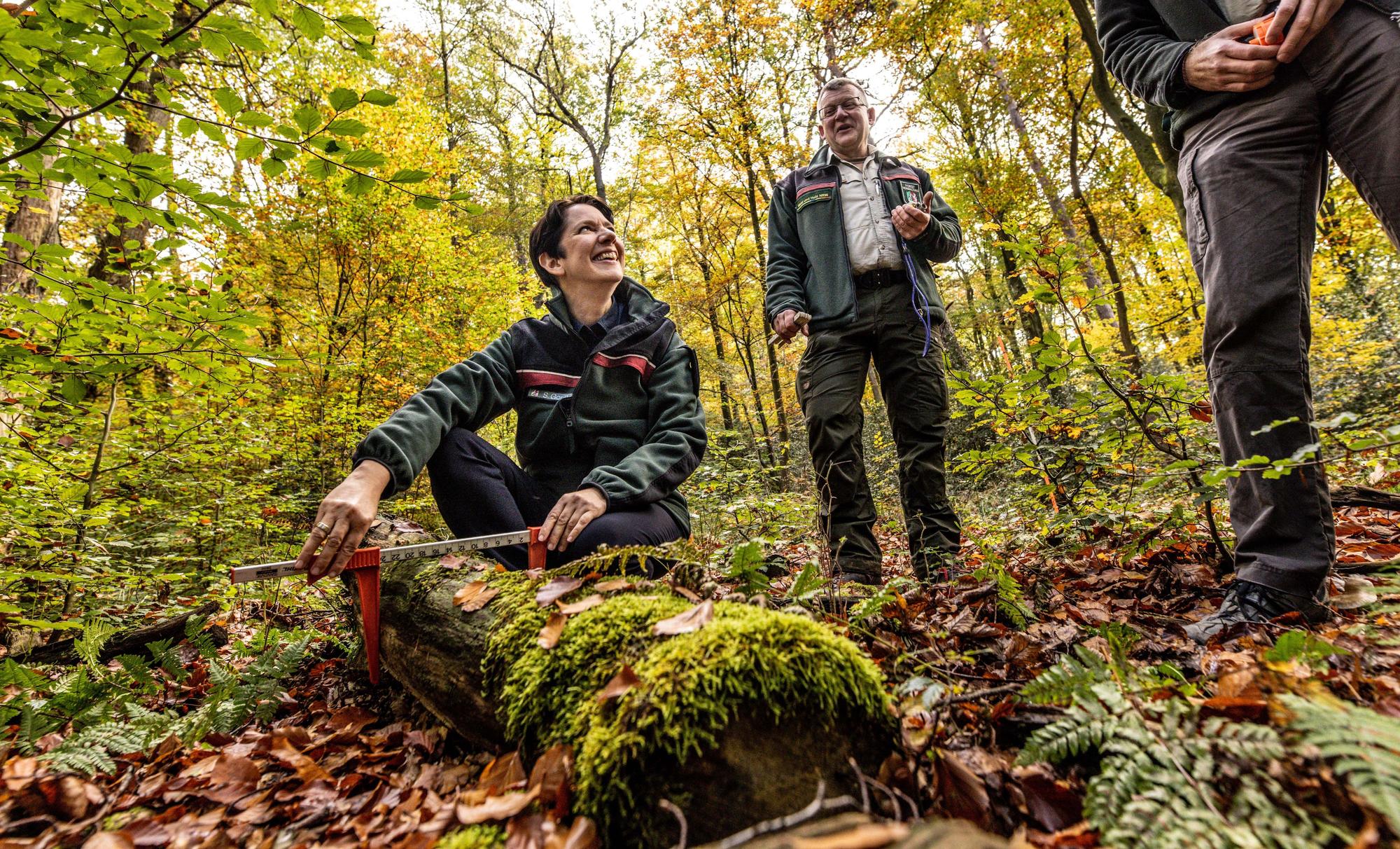 ARCHIV - 24.10.2024, Nordrhein-Westfalen, Arnsberg: Silke Gorißen (CDU), Landwirtschaftsministerin von Nordrhein-Westfalen, macht sich ein Bild von den Inventur-Arbeiten im Wald. (zu dpa: «Bericht: Wälder in NRW erholen sich schleppend») Foto: Dieter Menne/dpa +++ dpa-Bildfunk +++