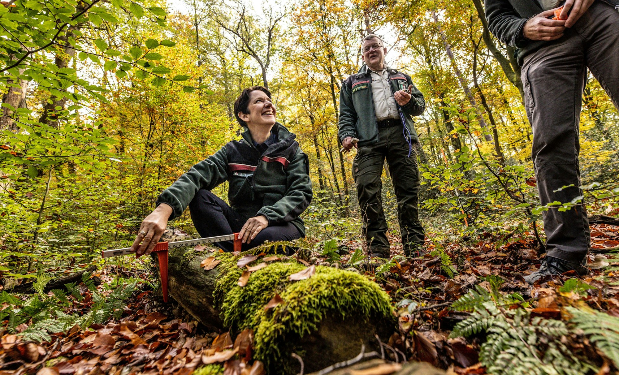 ARCHIV - 24.10.2024, Nordrhein-Westfalen, Arnsberg: Silke Gorißen (CDU), Landwirtschaftsministerin von Nordrhein-Westfalen, macht sich ein Bild von den Inventur-Arbeiten im Wald. (zu dpa: «Bericht: Wälder in NRW erholen sich schleppend») Foto: Dieter Menne/dpa +++ dpa-Bildfunk +++