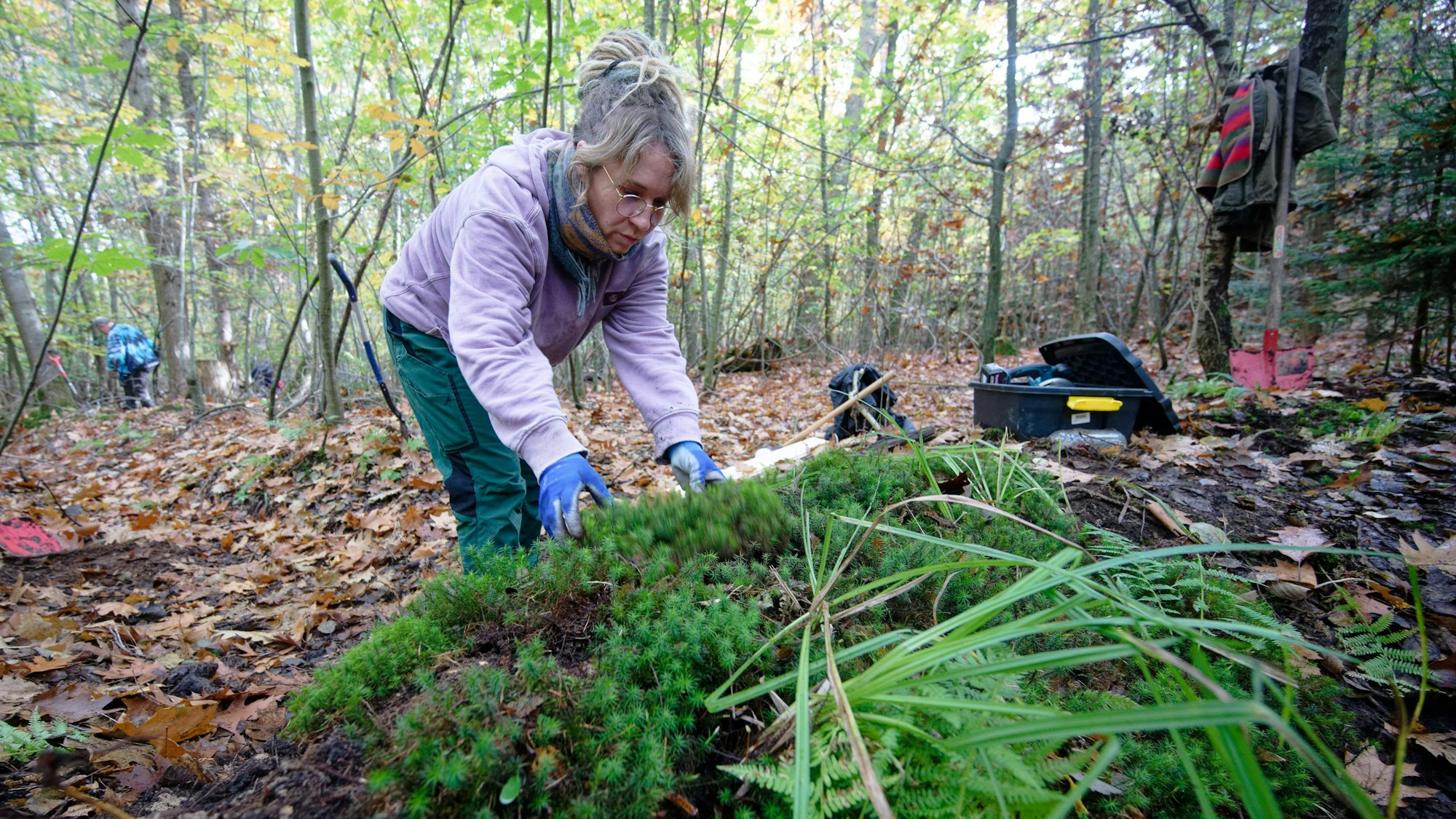 Teilnehmerin Maren bepflanzt im Gierather Wald bei Bergisch Gladbach einen Damm in einem Entwässerungsgraben.