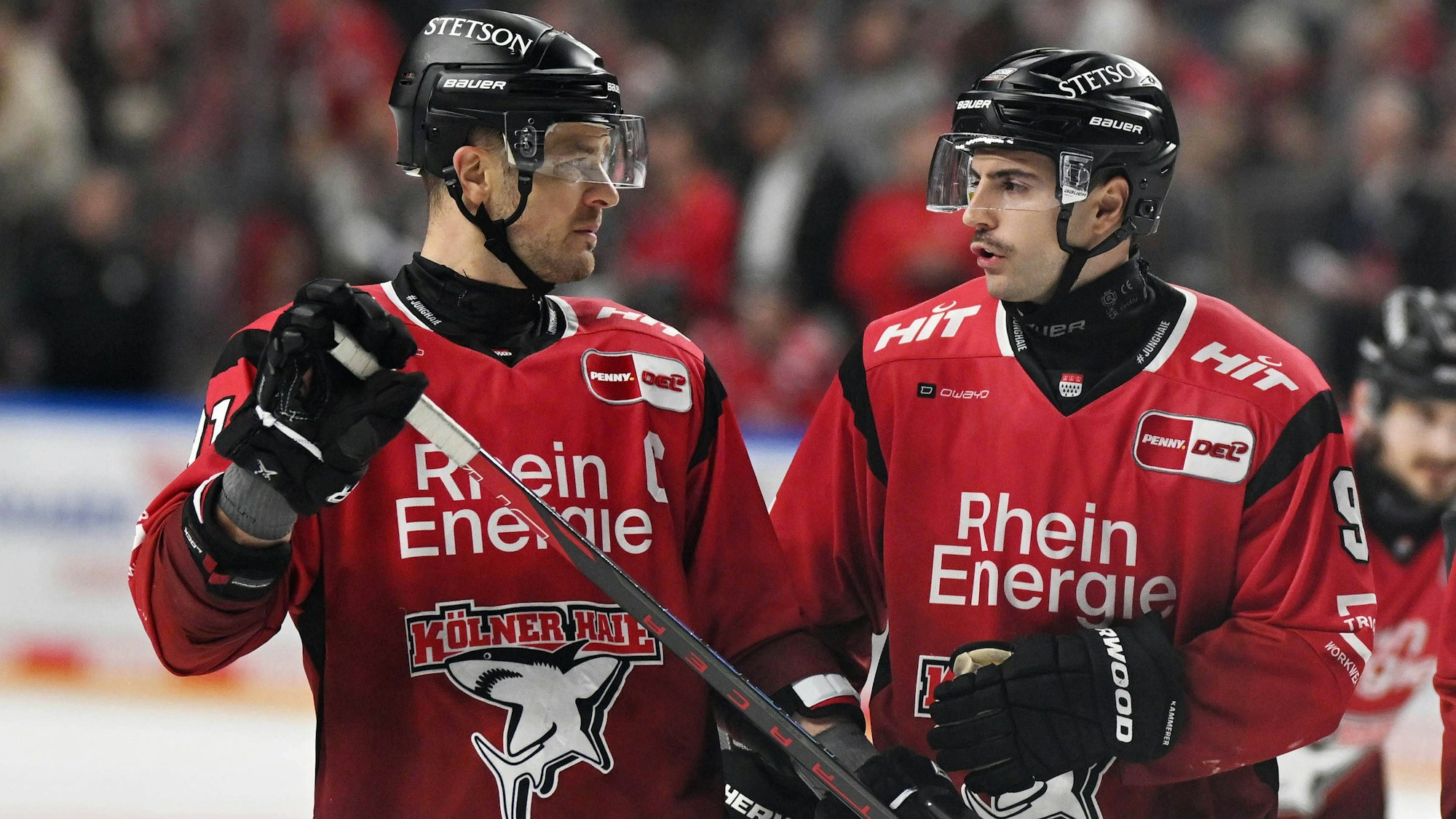 16.11..2025, xophax, DEL , Eishockey, Deutsche Eishockey Liga KEC , Kölner Haie gegen Dresdener Eislöwen Moritz Müller , links KEC und Maximillian Kammerer KEC , rechts Koeln *** 16 11 2025, xophax, DEL , Eishockey, Deutsche Eishockey Liga KEC , Kölner Haie vs Dresdener Eislöwen Moritz Müller , left KEC and Maximillian Kammerer KEC , right Koeln