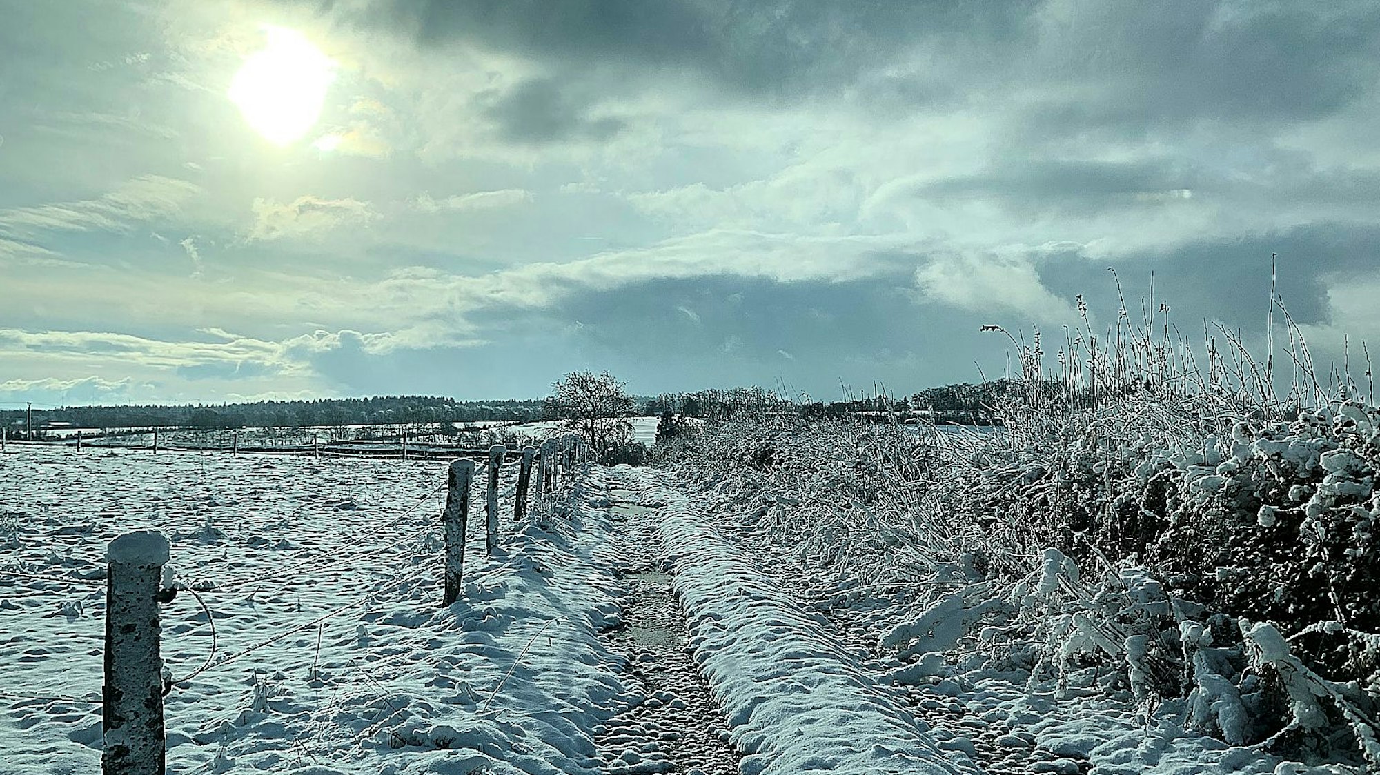 Mit 15 Zentimetern Schnee wird ab Freitag in den Hochlagen der NRW-Eifel gerechnet, nachdem in der Nacht zum Donnerstag Schnee gefallen ist.