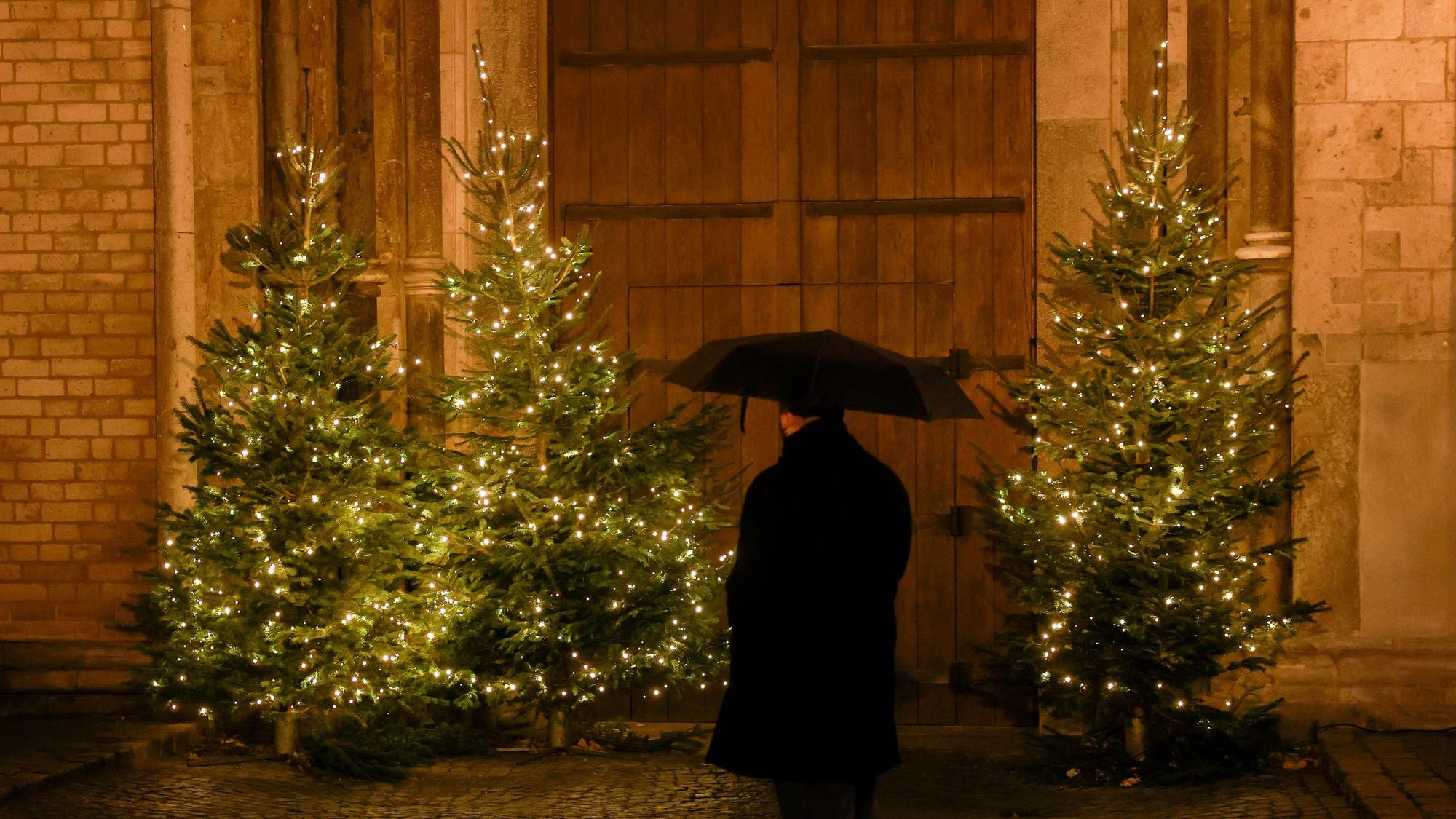 Das Bild zeigt einen alleine vor Weihnachtsbäumen stehenden Mann. (Symbolbild)