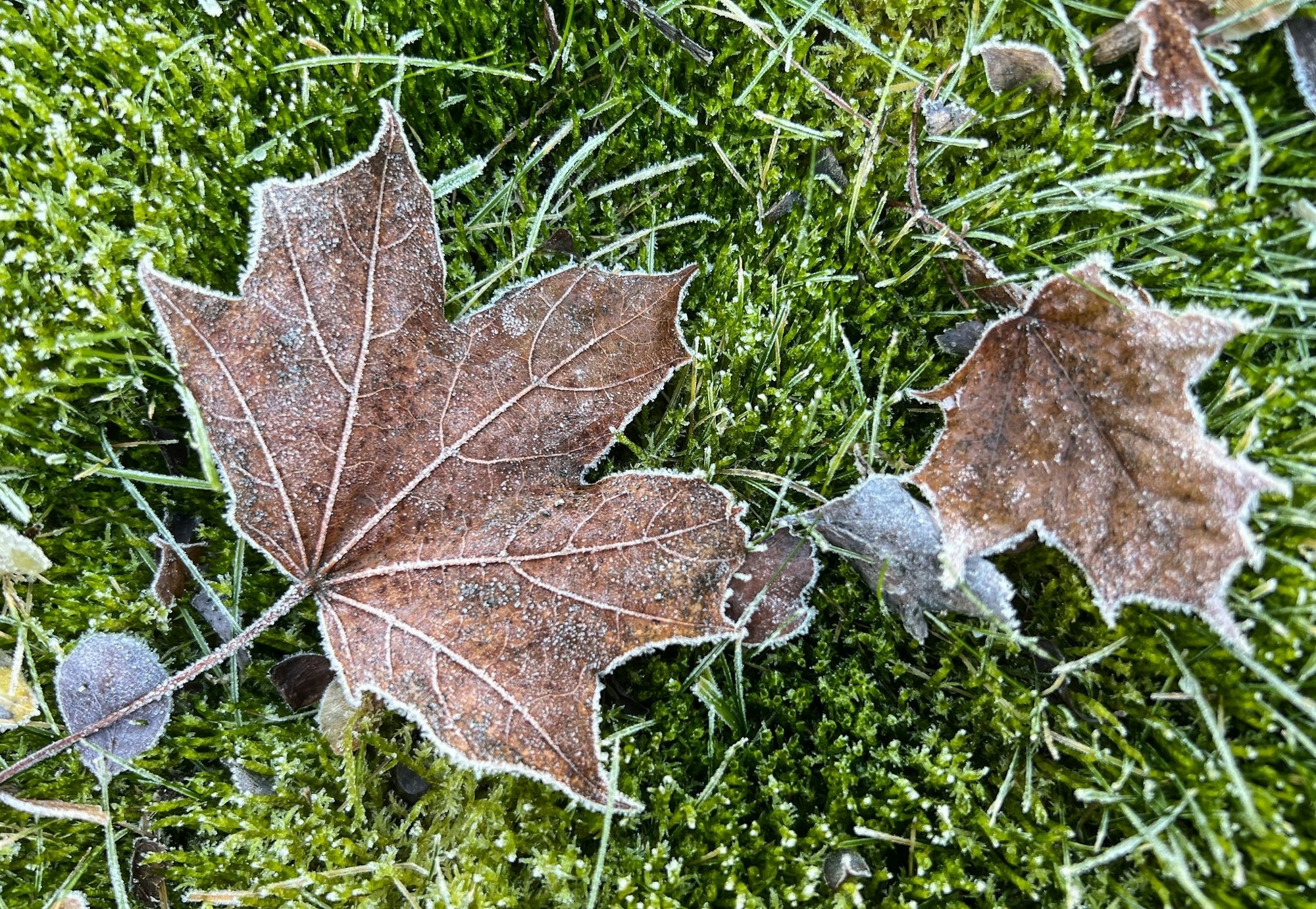 Vom Kälterekord ist das Wetter in Deutschland noch weit entfernt.
