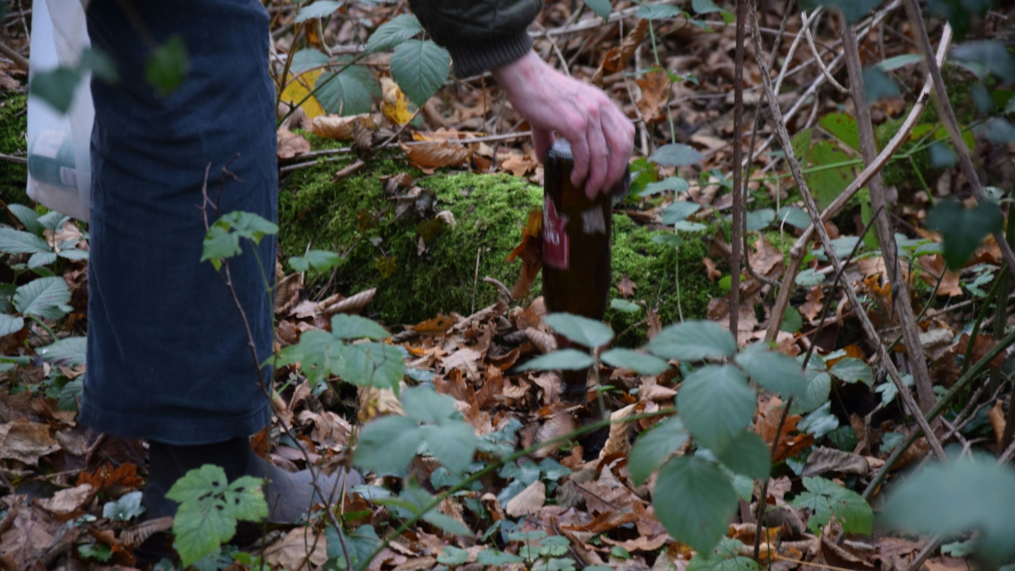 Müll im Thielenbrucher Wald.