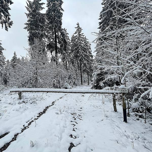 Blick auf einen verschneiten Wanderweg bei Udenbreth.