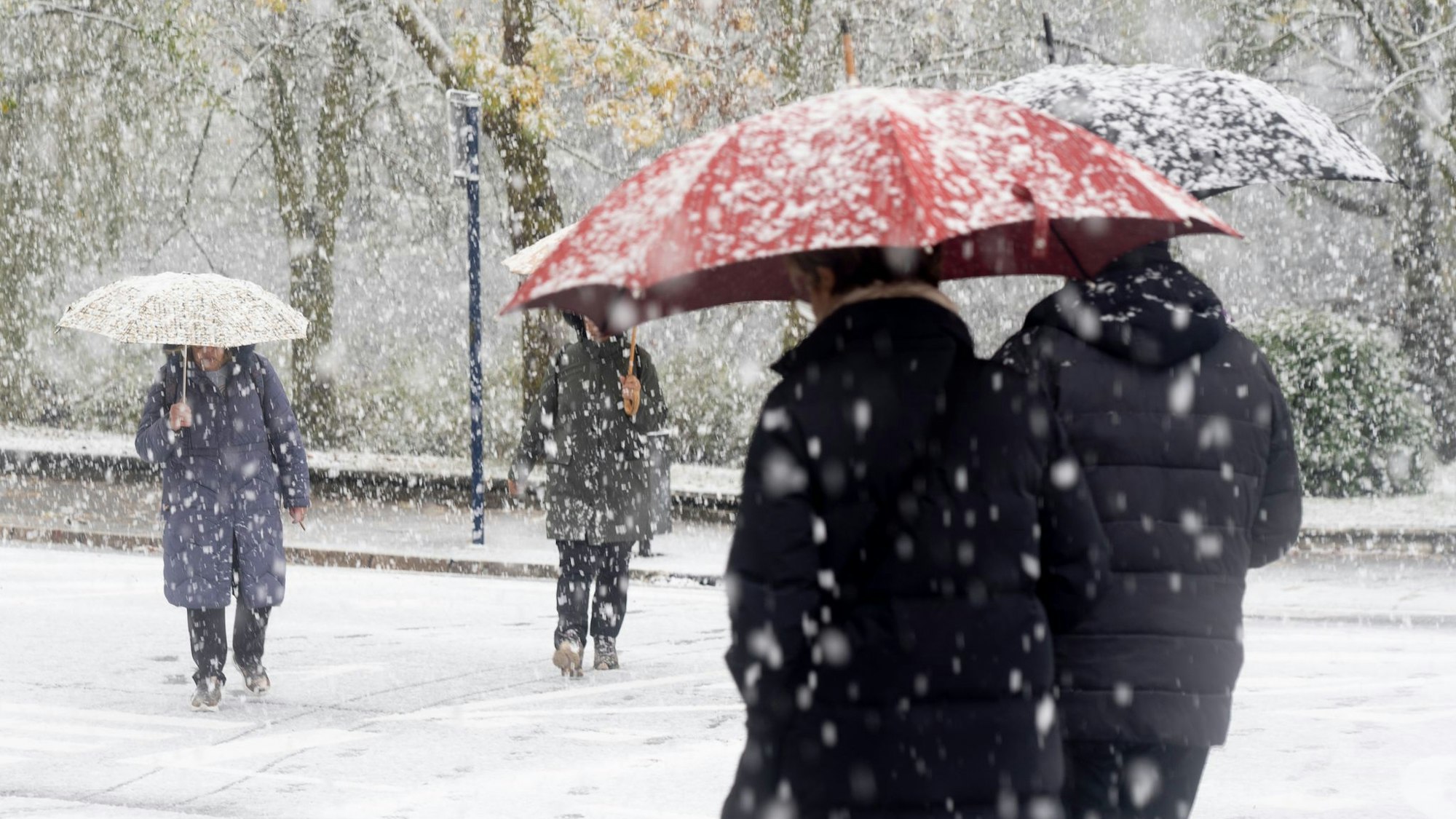 Kälte allein macht keine Erkältung. (Symbolbild)