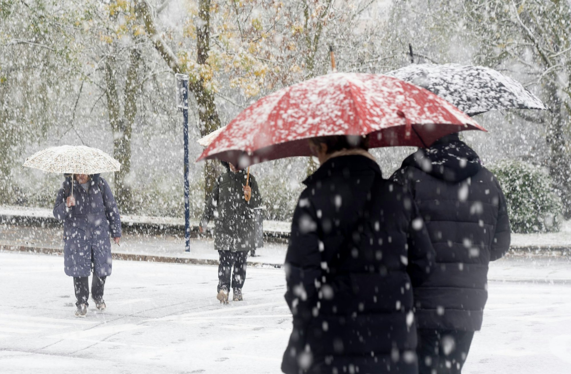 Kälte allein macht keine Erkältung. (Symbolbild)