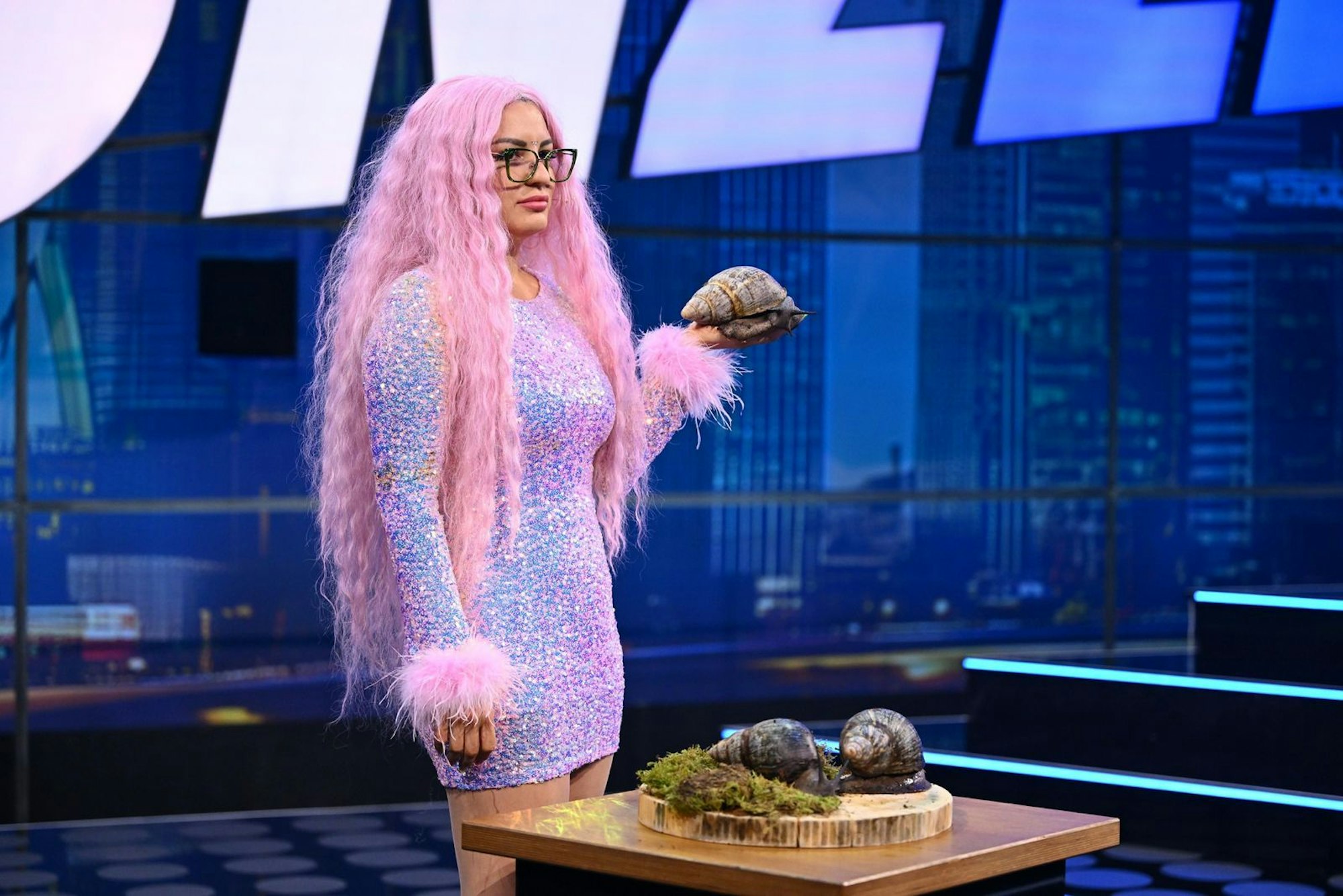 Skurriler Auftritt: „Snailfluencerin“ Kris Buckley präsentierte ihre Riesenschnecken und einen wichtigen Hinweis: „Die Schnecke feucht halten, ist das A und O.“ (Bild: RTL/Raab Entertainment/Willi Weber)