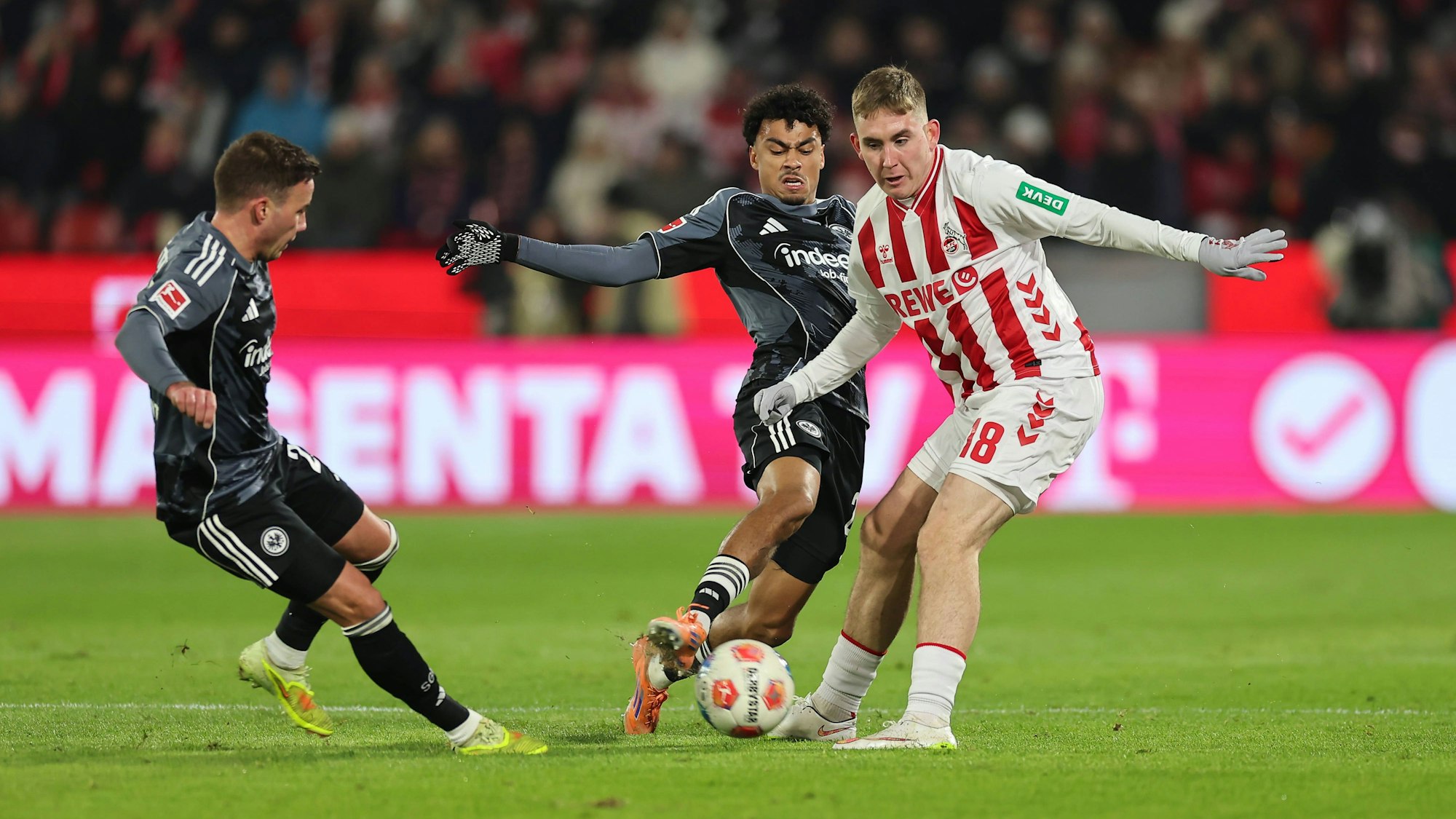 Umkämpftes Duell zwischen dem 1. FC Köln und Eintracht Frankfurt.