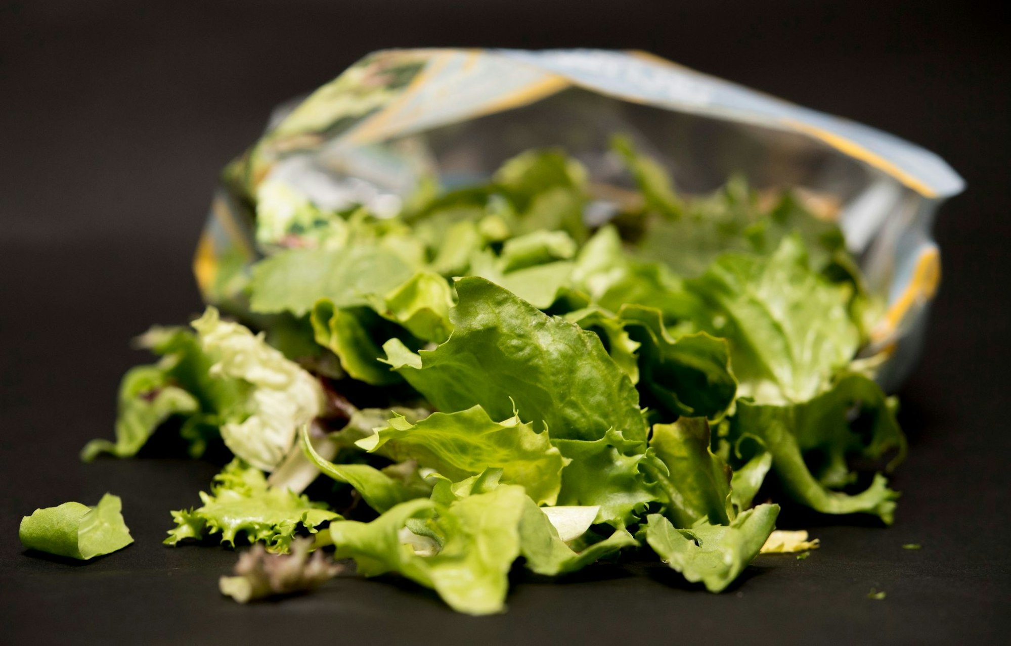 Vorgeschnittener Salat aus der Tüte kann mit Keimen belastet sein: Gründliches Waschen vor dem Verzehr ist wichtig, auch wenn „vorgewaschen“ auf der Verpackung steht.