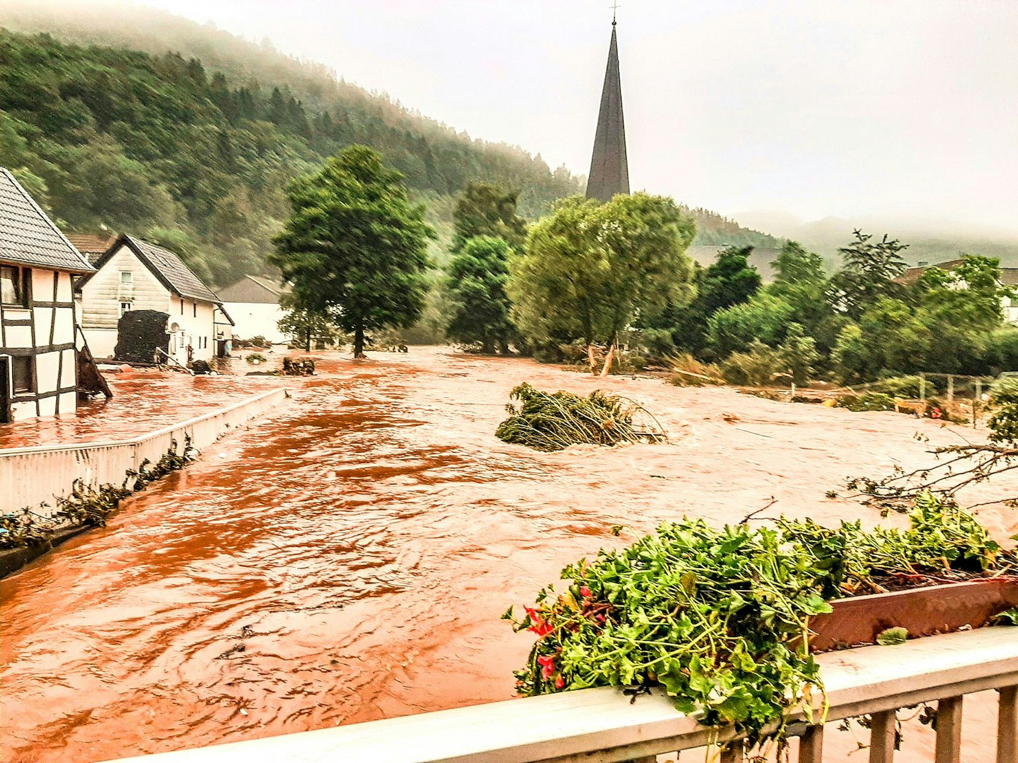 Von der Olefbrücke aus erkennt man noch das Hochwasser, das die Häuser entlang des Ufers überflutet hatten.
