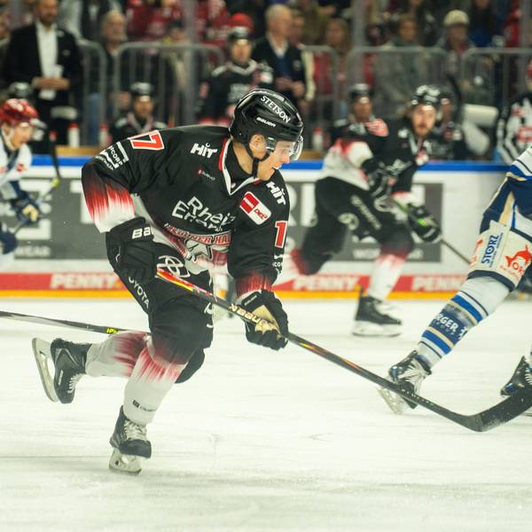 Jan Luca Sennhenn Koelner Haie, 17 Koelner Haie vs. Schwenninger Wild Wings, Eishockey, Penny DEL, 21. Spieltag, Saison 2025/2026, 23.11.2025 Koelner Haie vs. Schwenninger Wild Wings, Eishockey, Penny DEL, 21. Spieltag, Saison 2025/2026, 23.11.2025 Koeln *** Jan Luca Sennhenn Koelner Haie, 17 Koelner Haie vs Schwenninger Wild Wings, Ice Hockey, Penny DEL, 21 Matchday, Season 2025 2026, 23 11 2025 Koelner Haie vs Schwenninger Wild Wings, Ice Hockey, Penny DEL, 21 Matchday, Season 2025 2026, 23 11 2025 Koeln Copyright: xEibner-Pressefoto/J.xDerondeaux EP_JDU