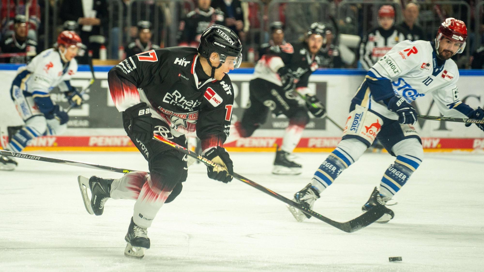 Jan Luca Sennhenn Koelner Haie, 17 Koelner Haie vs. Schwenninger Wild Wings, Eishockey, Penny DEL, 21. Spieltag, Saison 2025/2026, 23.11.2025 Koelner Haie vs. Schwenninger Wild Wings, Eishockey, Penny DEL, 21. Spieltag, Saison 2025/2026, 23.11.2025 Koeln *** Jan Luca Sennhenn Koelner Haie, 17 Koelner Haie vs Schwenninger Wild Wings, Ice Hockey, Penny DEL, 21 Matchday, Season 2025 2026, 23 11 2025 Koelner Haie vs Schwenninger Wild Wings, Ice Hockey, Penny DEL, 21 Matchday, Season 2025 2026, 23 11 2025 Koeln Copyright: xEibner-Pressefoto/J.xDerondeaux EP_JDU