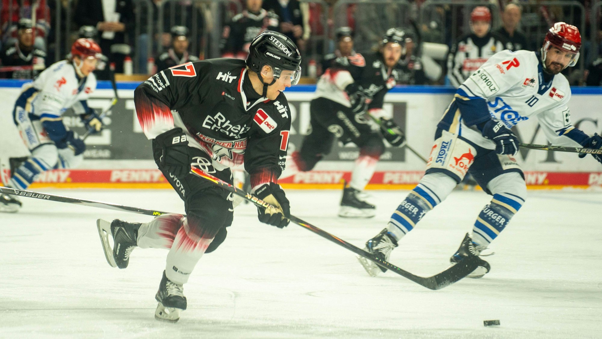 Jan Luca Sennhenn Koelner Haie, 17 Koelner Haie vs. Schwenninger Wild Wings, Eishockey, Penny DEL, 21. Spieltag, Saison 2025/2026, 23.11.2025 Koelner Haie vs. Schwenninger Wild Wings, Eishockey, Penny DEL, 21. Spieltag, Saison 2025/2026, 23.11.2025 Koeln *** Jan Luca Sennhenn Koelner Haie, 17 Koelner Haie vs Schwenninger Wild Wings, Ice Hockey, Penny DEL, 21 Matchday, Season 2025 2026, 23 11 2025 Koelner Haie vs Schwenninger Wild Wings, Ice Hockey, Penny DEL, 21 Matchday, Season 2025 2026, 23 11 2025 Koeln Copyright: xEibner-Pressefoto/J.xDerondeaux EP_JDU