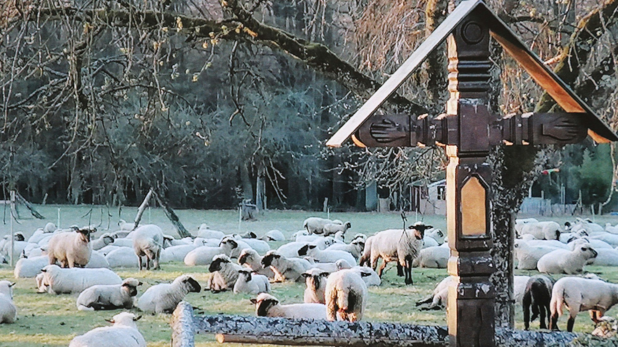 Schafe im Dorf und ein Arma-Christi-Kreuz bilden ein Idyll.