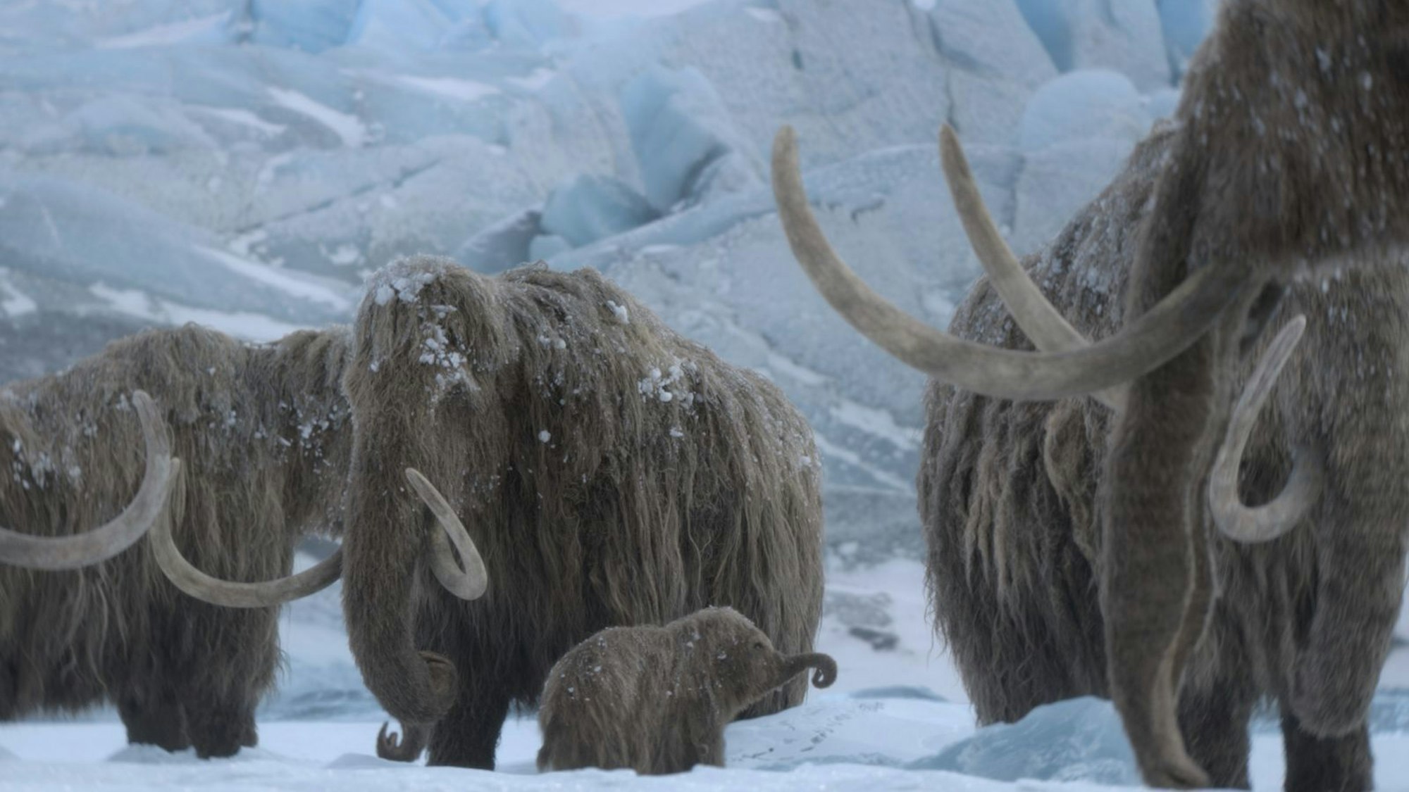 Mit „Ein Planet vor unserer Zeit: Eiszeit“ wagt sich die Reihe in neue Gefilde vor. Statt Dinosauriern spielt nun die Riesenfauna der Eiszeit die Hauptrolle. Zu sehen gibt es die Natur-Dokuserie ab 26. November bei Apple TV. (Bild: Apple TV)