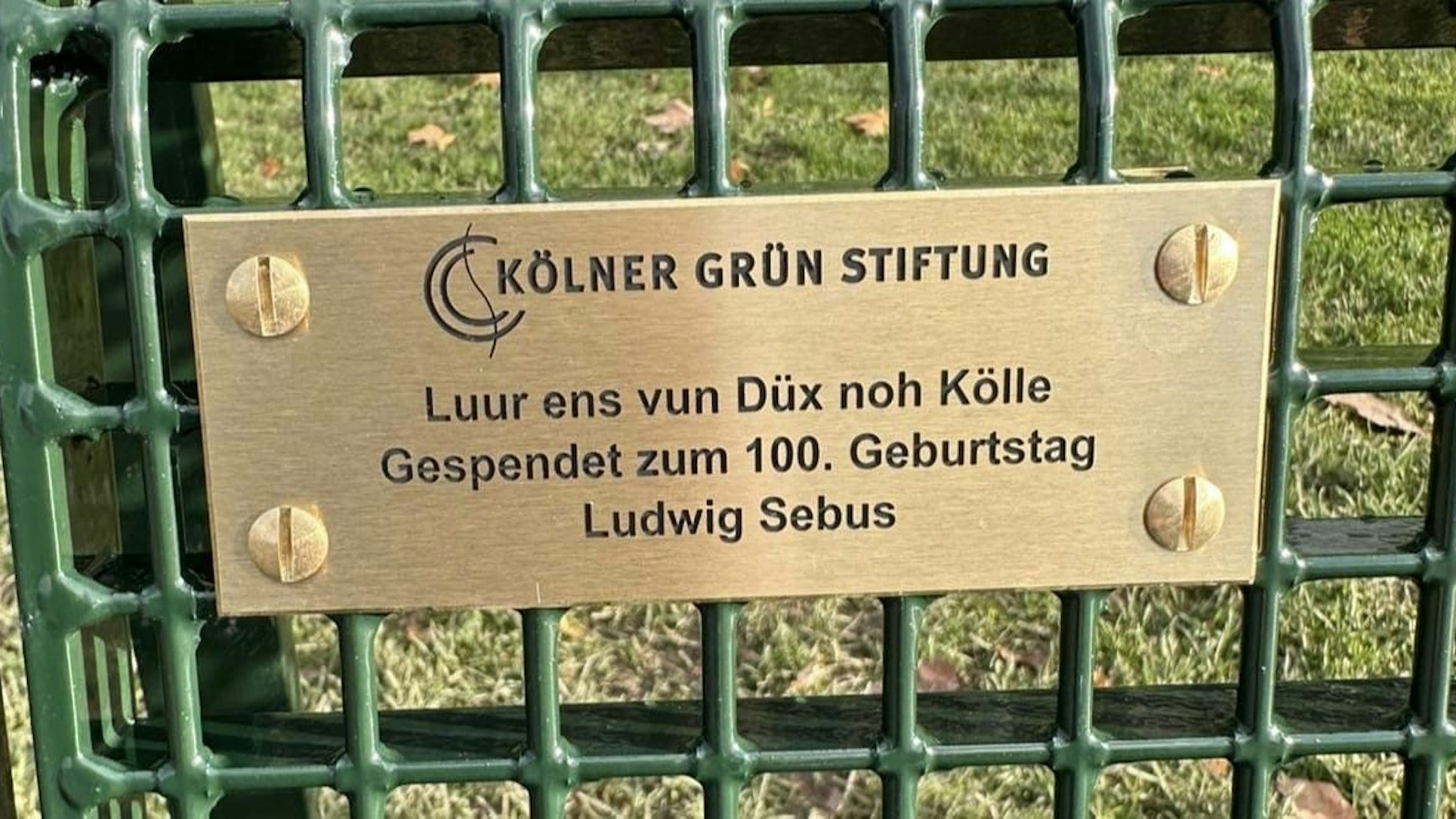 Die grüne Drahtgitterbank ist Teil der Aktion „1000 Bänke für Köln“.