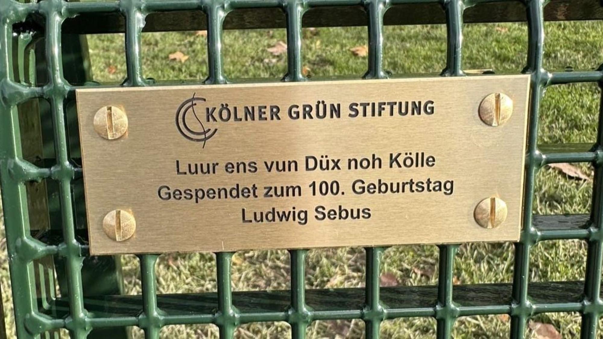 Die grüne Drahtgitterbank ist Teil der Aktion „1000 Bänke für Köln“.