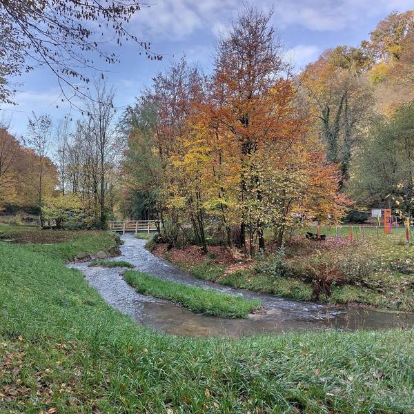 Der Wupperverband hat das Gelände am Murbach in Leichlingen aufgeweitet.