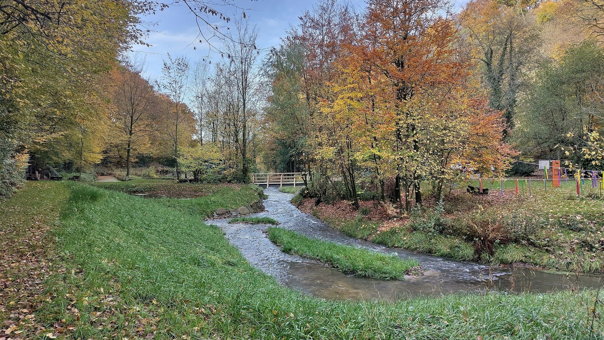Der renaturierte Murbach im Sinneswald.