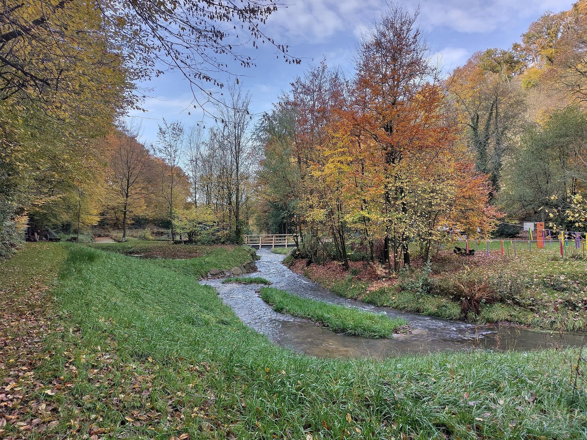 Der renaturierte Murbach im Sinneswald