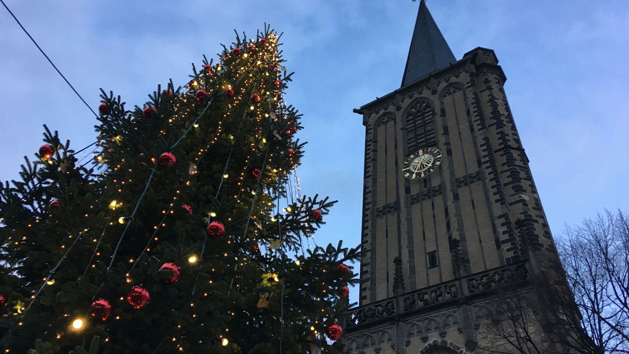 Der Severinskirchplatz mit festlich geschmückter Tanne. (Archivbild)