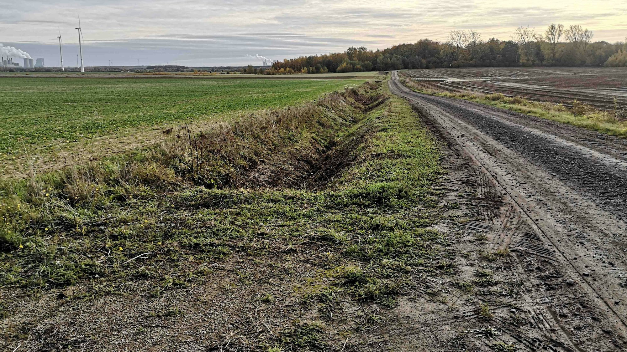 Zu sehen ist ein Graben neben einem Feldweg.