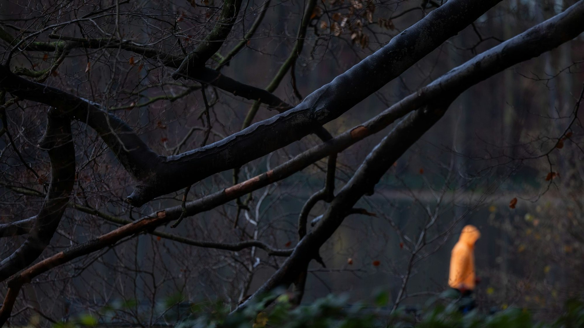 Nach eisigen Tagen könnte es in dieser Woche etwas wärmer werden. (Symbolbild)