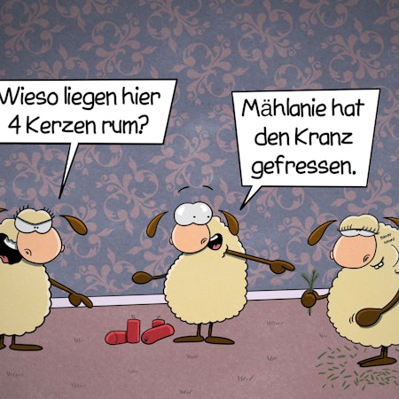 Drei Schafe stehen in einem Wohnzimmer beisammen. Auf dem Boden liegen vier rote Kerzen. Ein weibliches Schaf fragt: „Wieso liegen hier 4 Kerzen rum?“ Ein männliches Schaf antwortet, während es auf ein weiteres weibliches und kauendes Schaf zeigt: „Mählanie hat den Kranz gefressen.“
