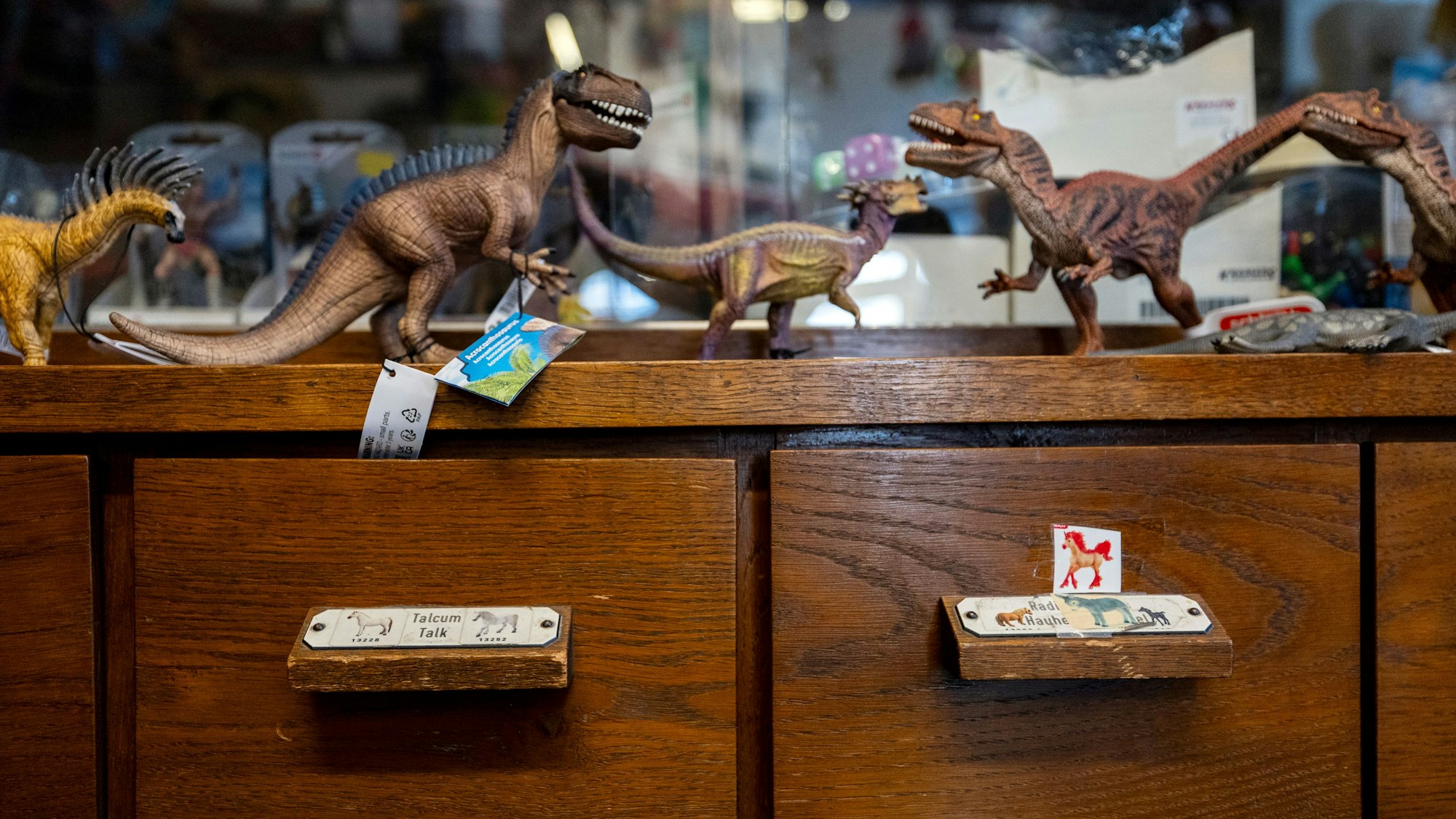 Von der Drogerie, die früher in dem Ladenlokal war, übernahm Dieter van Dillen die Regale und Schubfächer.