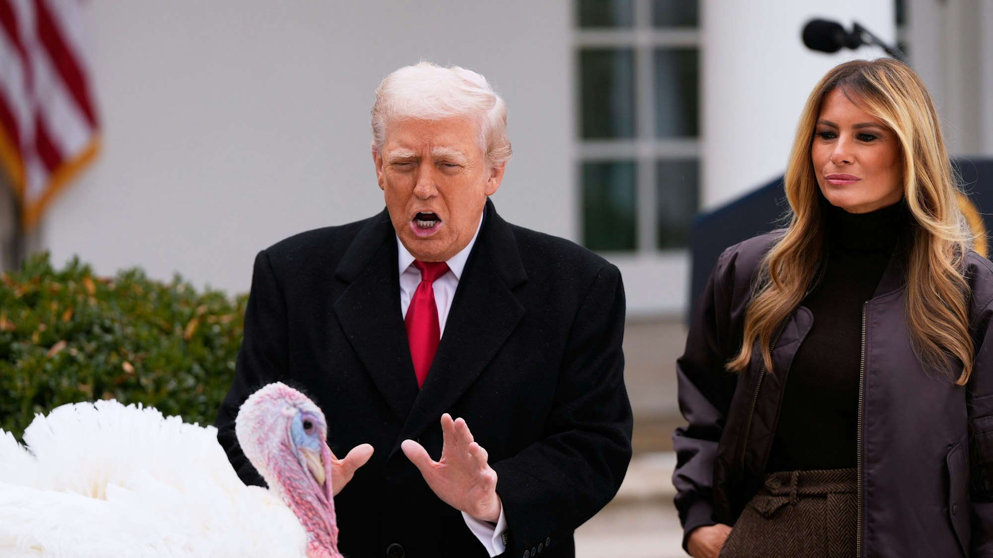 Das Bild zeigt US-Präsident Donald Trump und First Lady Melania Trump neben dem nationalen Thanksgiving-Truthahn Gobble während einer Begnadigungszeremonie im Rosengarten des Weißen Hauses. Foto: Julia Demaree Nikhinson/AP/dpa