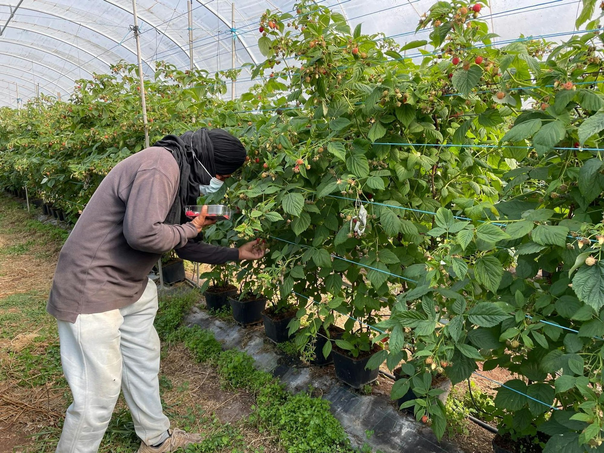 Die befreiten Migranten wurden laut Polizei oft geschlagen.