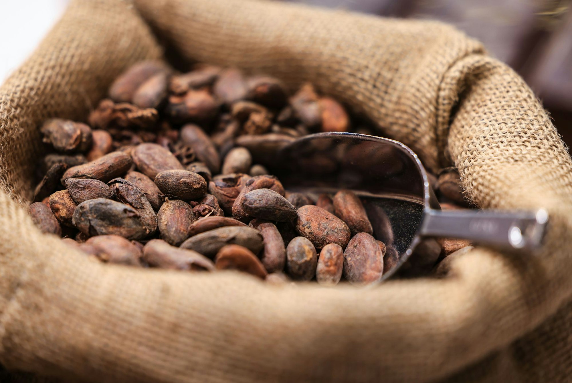 Teure Kakao-Importe sorgen für hohe Schokoladenpreise.