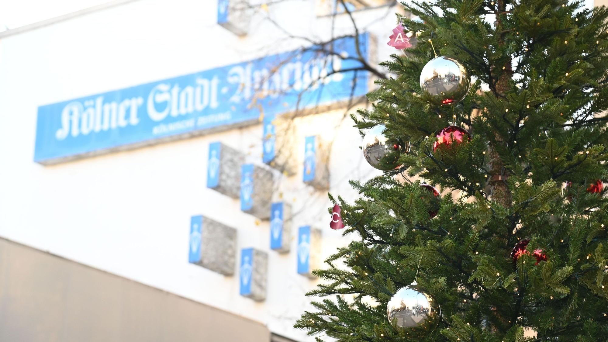 Das Bild zeigt einen Weihnachtsbaum. (Symbolbild)