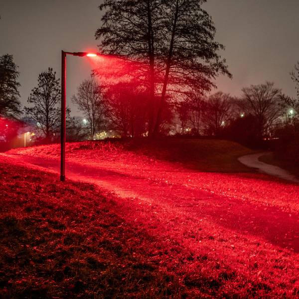 Insektenfreundliches Licht ist rot. Die EVL erprobt auf dem Rundweg am Steinbücheler See eine umweltfreundliche Beleuchtung.