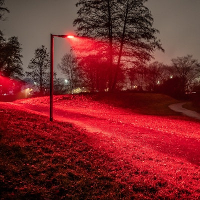 Insektenfreundliches Licht ist rot. Die EVL erprobt auf dem Rundweg am Steinbücheler See eine umweltfreundliche Beleuchtung.