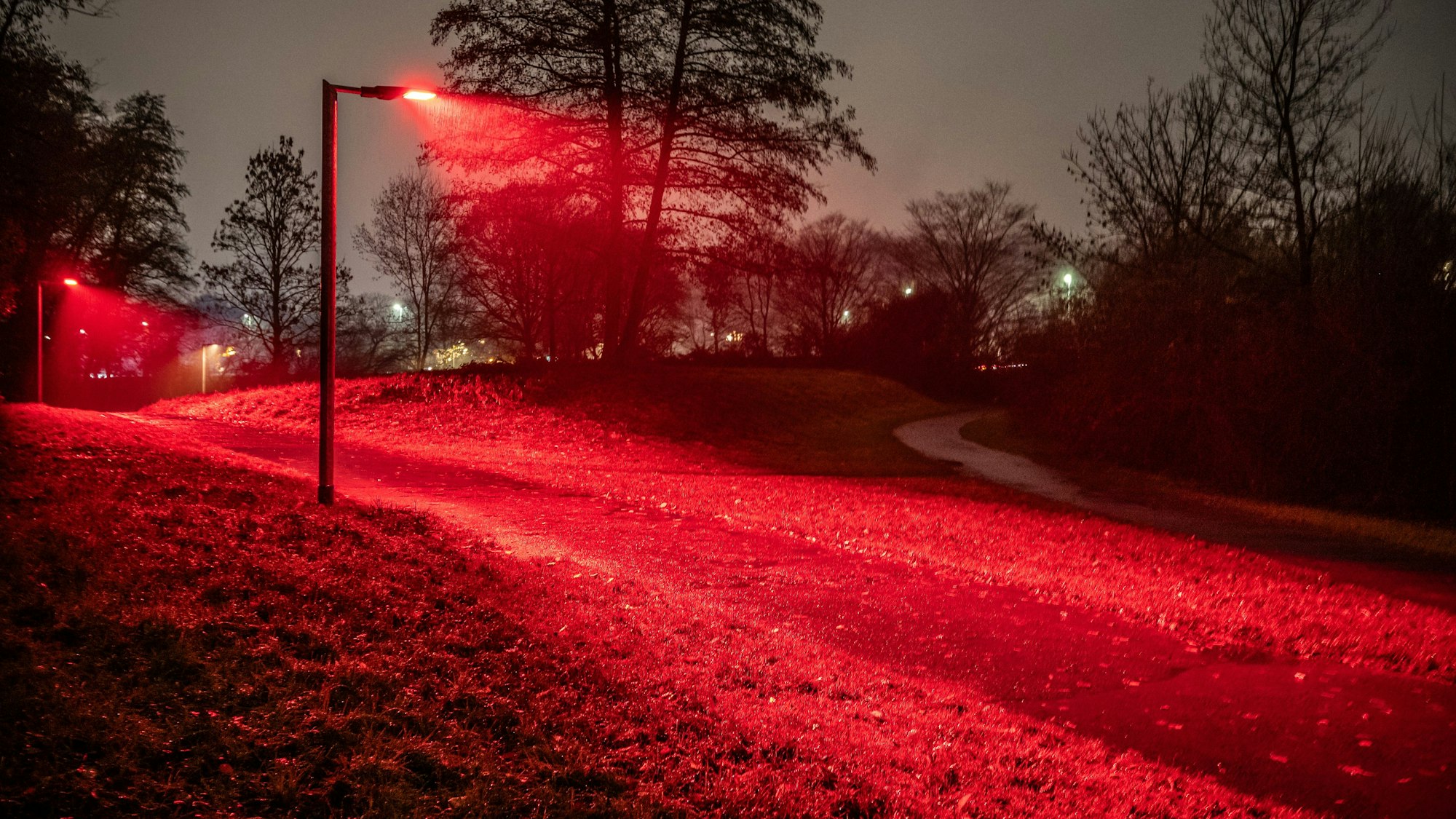 Insektenfreundliches Licht ist rot. Die EVL erprobt auf dem Rundweg am Steinbücheler See eine umweltfreundliche Beleuchtung.