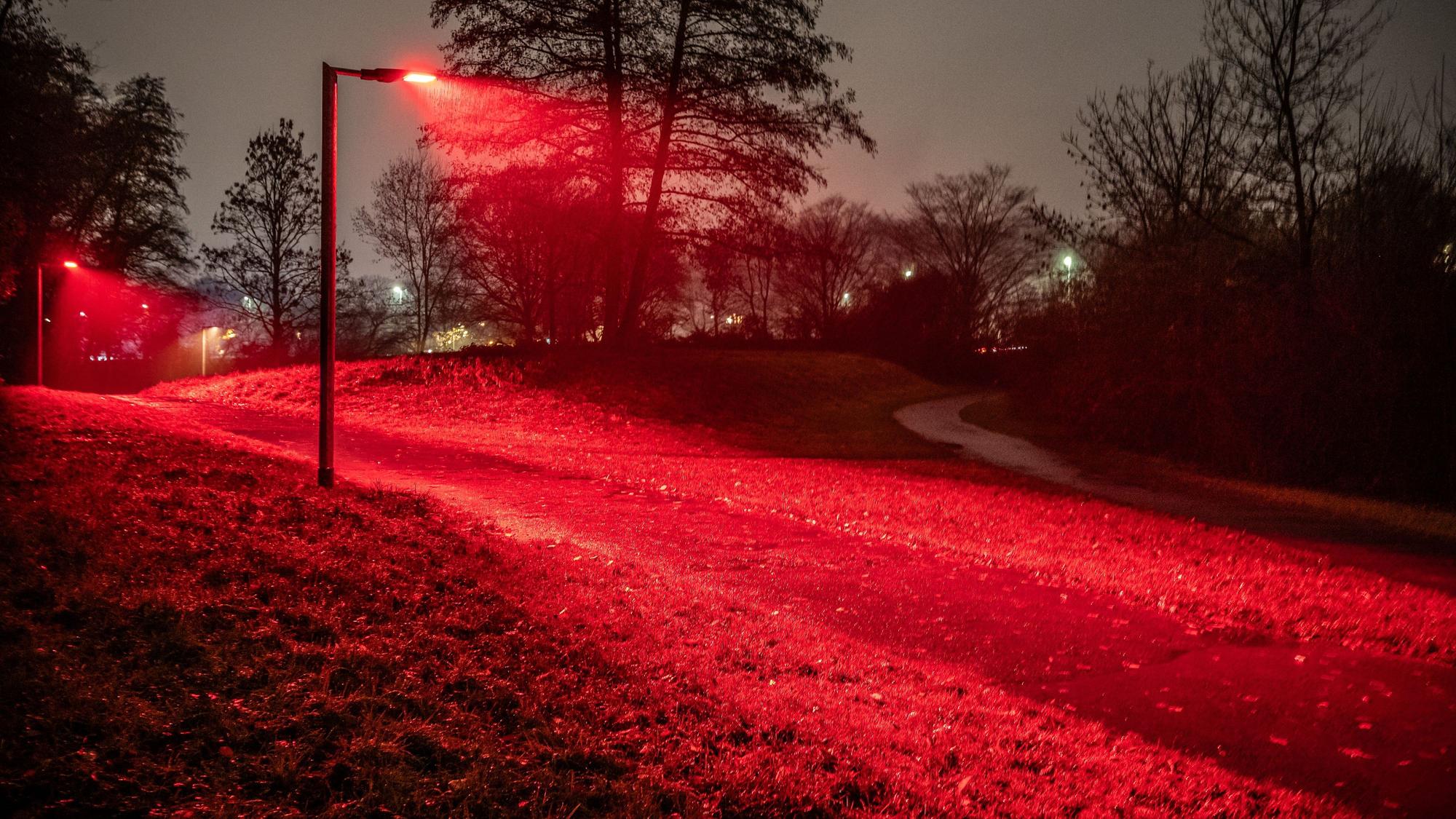 Insektenfreundliches Licht ist rot. Die EVL erprobt auf dem Rundweg am Steinbücheler See eine umweltfreundliche Beleuchtung.