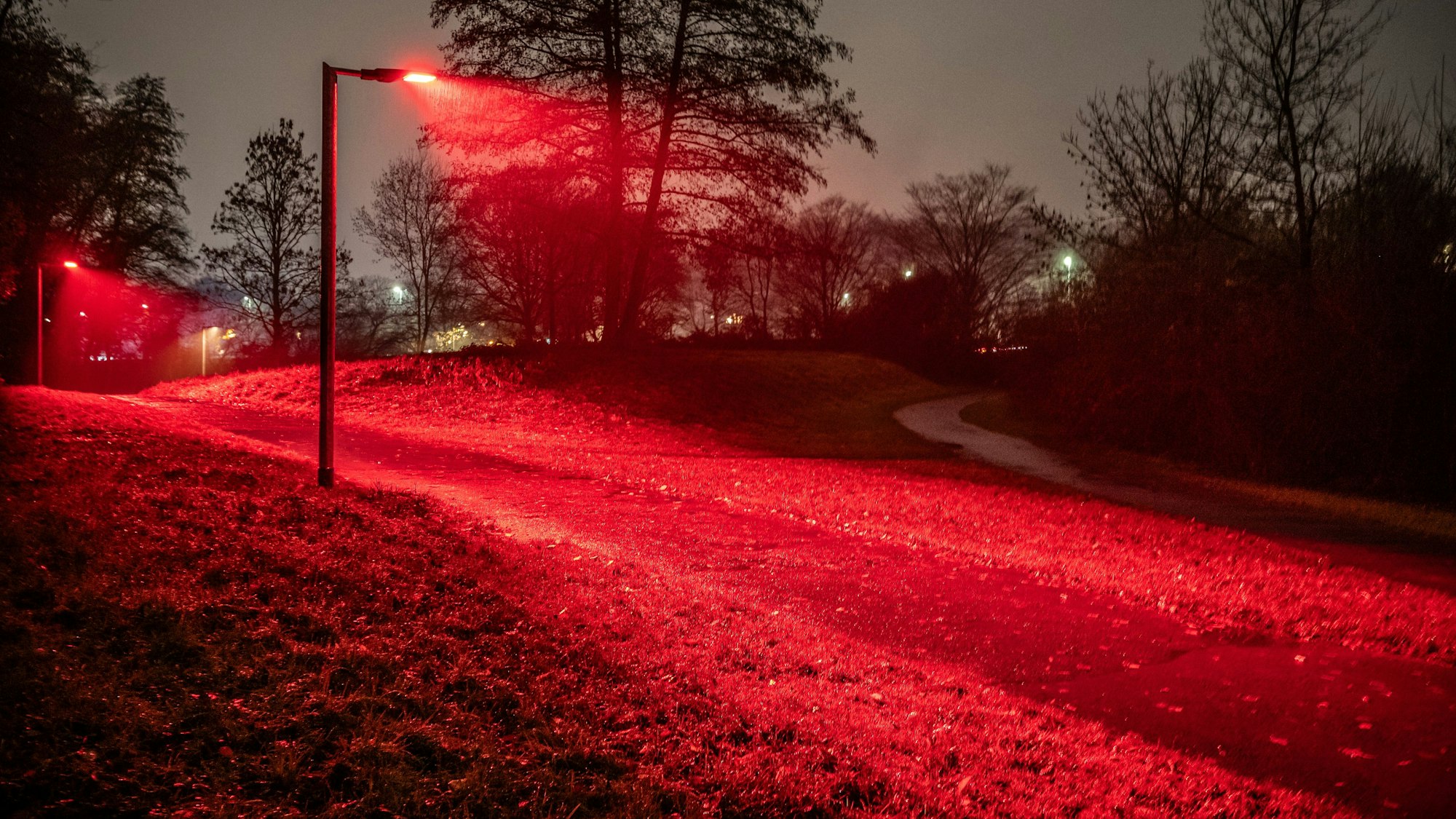 Insektenfreundliches Licht ist rot. Die EVL erprobt auf dem Rundweg am Steinbücheler See eine umweltfreundliche Beleuchtung.