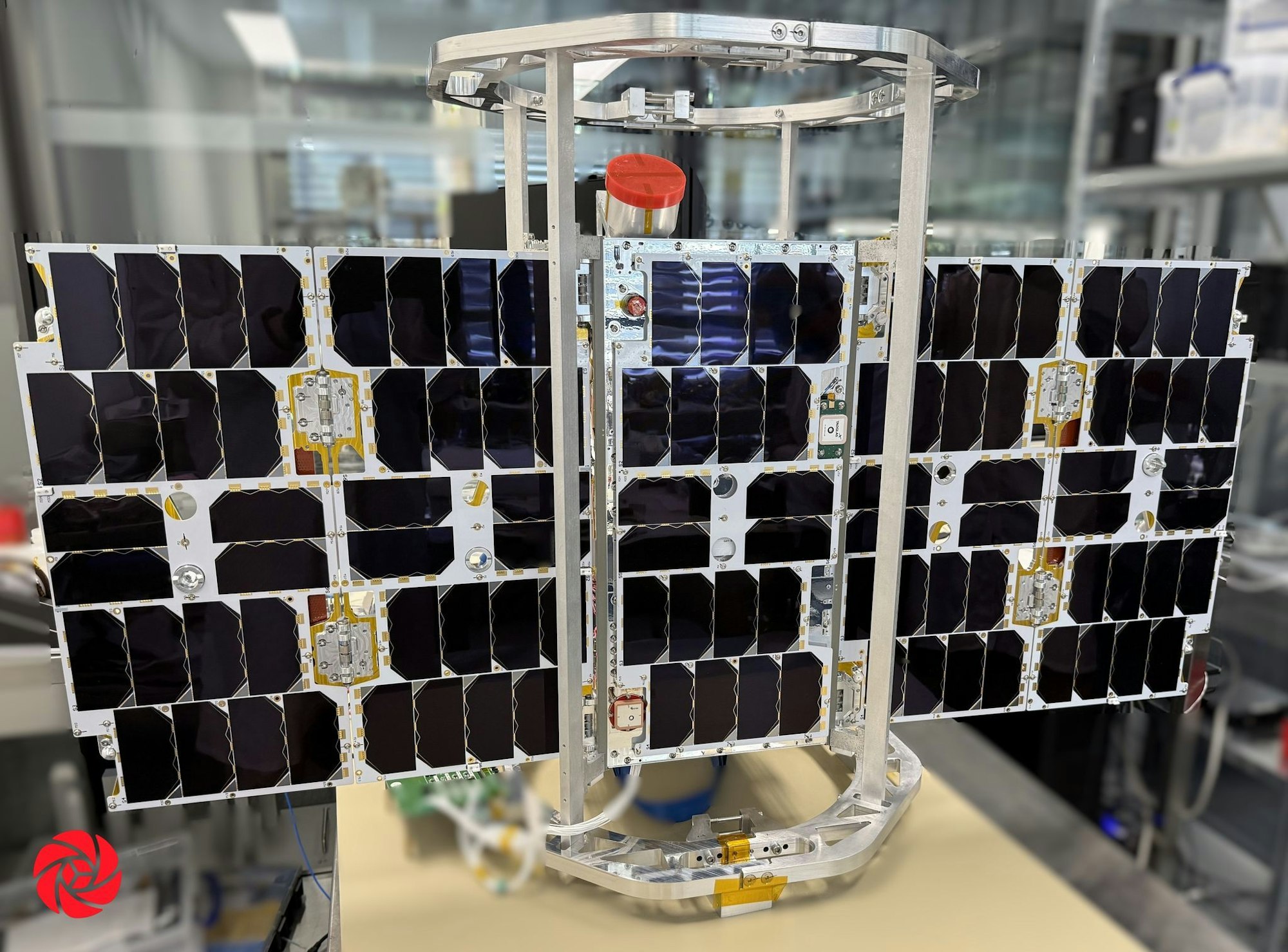 Der erste neue Empfänger des Tierbeobachtungsprojekts «Icarus» ist ins All geflogen.