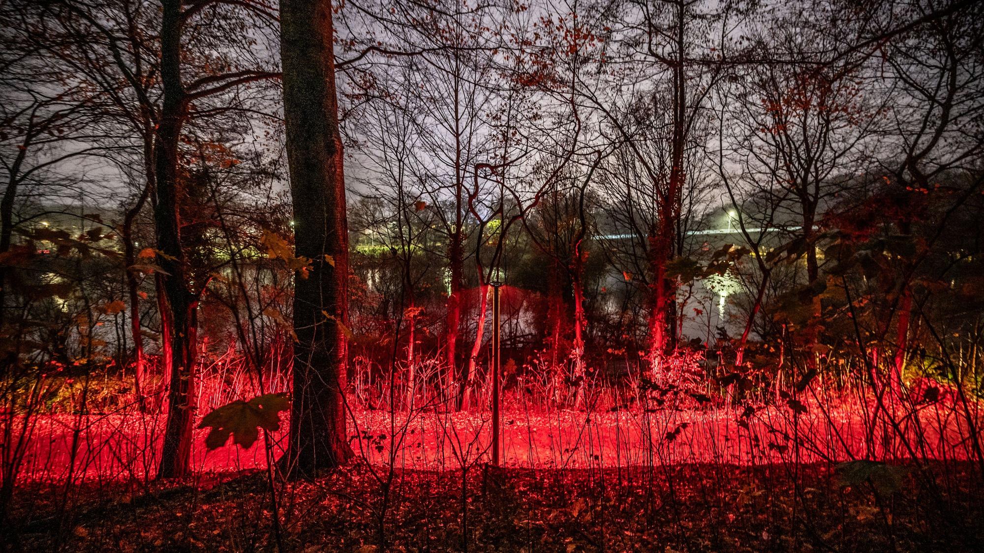 Insektenfreundliches Licht ist rot. Die EVL erprobt auf dem Rundweg am Steinbücheler See Die EVL (Energieversorgung Leverkusen) hat die alten Lampen ersetzt. Die neuen strahlen jetzt ein so reines Rotlicht ab, wie man es früher aus Dunkelkammern kannte, nur heller.eine umweltfreundliche Beleuchtung. Bild: Ralf Krieger