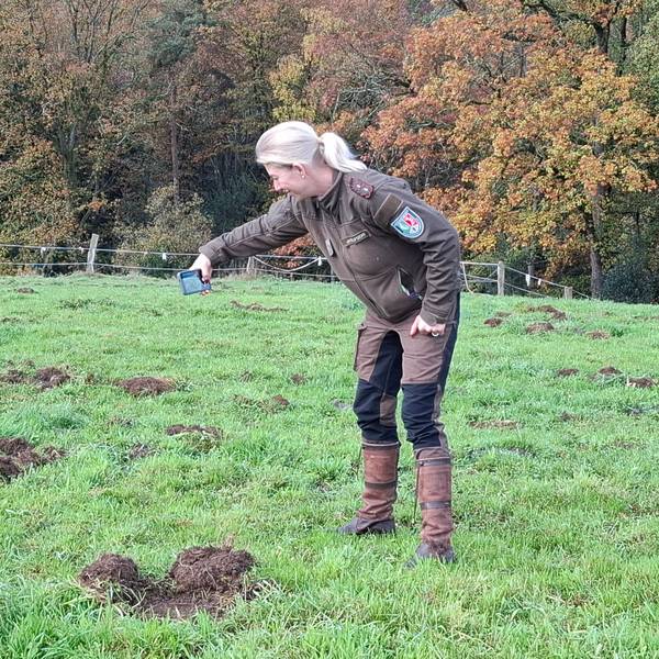 Die Dokumentation von Wildschweinschäden gehört auch zu den Aufgaben der Jagdaufseherin.
