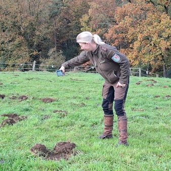 Die Dokumentation von Wildschweinschäden gehört auch zu den Aufgaben der Jagdaufseherin.