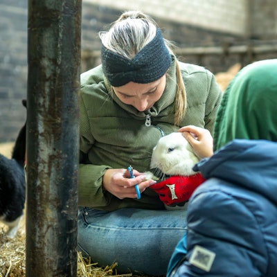 Das Bild zeigt einen Schüler, der ein Kannichen streichelt, während es die Krallen geschnitten bekommt. Eine Katze schaut ebenfalls zu.