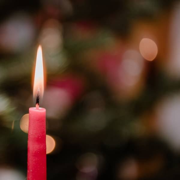 24.12.2020 Eine Kerze brennt an Heiligabend an einem Weihnachtsbaum.